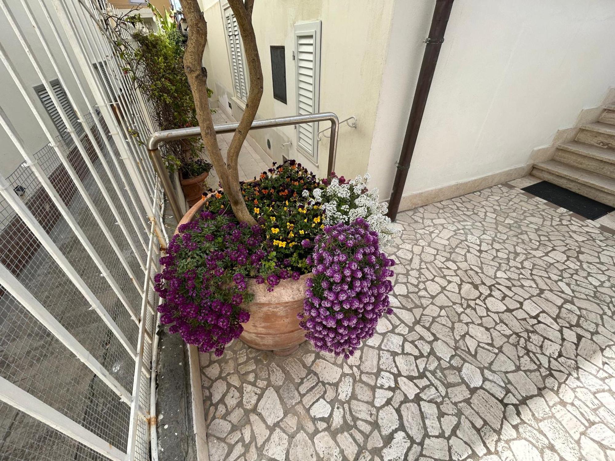 דירות ואדה La Casa Di Rosi Al Mare מראה חיצוני תמונה